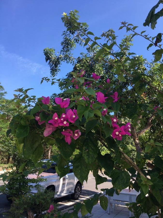 Cobi'S Home Cam Lam المظهر الخارجي الصورة